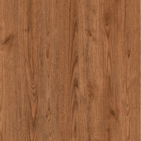 4626 – AUSTRALIA CHESTNUT NEW