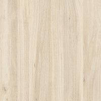 4637 – SAHRA NEW