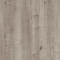 4645 – GREY BIRCH NEW