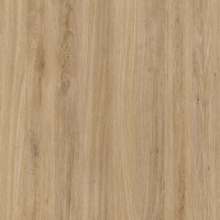 4664 – SANTANA OAK