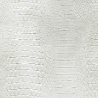 DG11 POROSUS