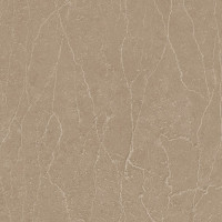 5696 – SAND STONE NEW